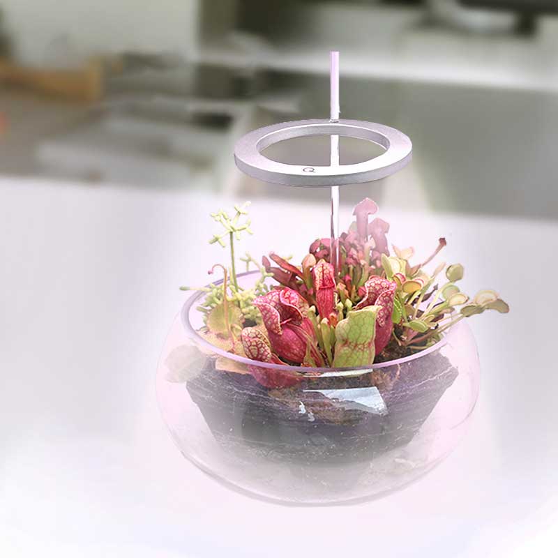 Vekstlys for potteplanter