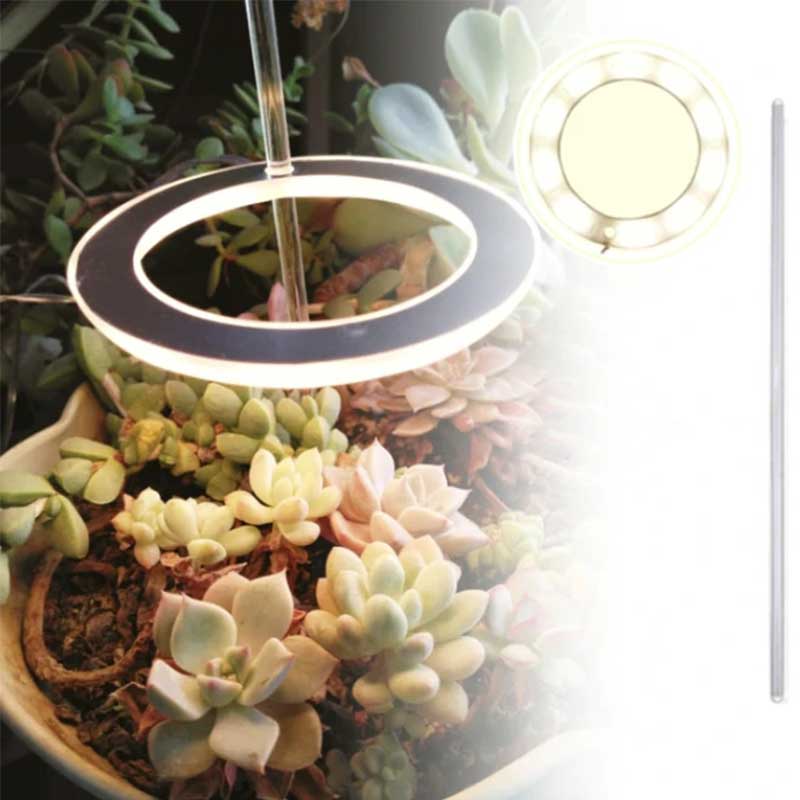 Vekstlys for potteplanter